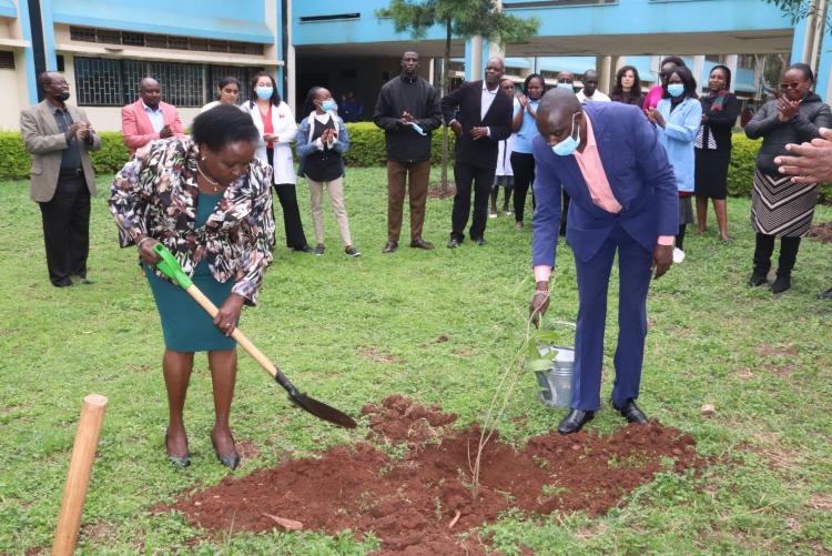 FACULTY OF HEALTH SCIENCES - TREE PLANTING EVENT (PROF. CHESEREM)