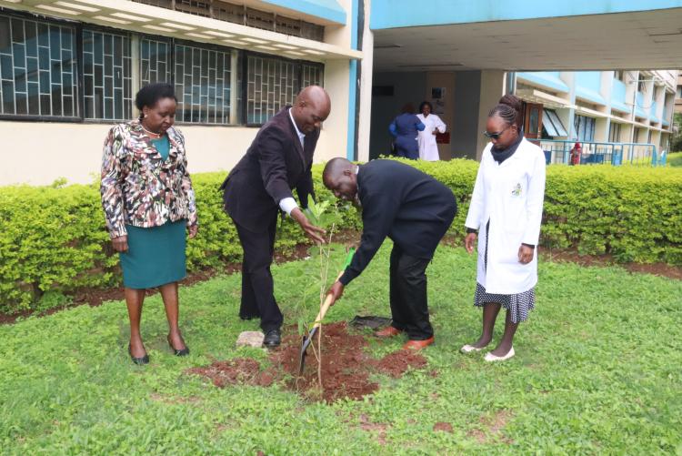 FACULTY OF HEALTH SCIENCES - TREE PLANTING EVENT (PROF. CHESEREM WITH OBS/GYN DEPT STAFF )