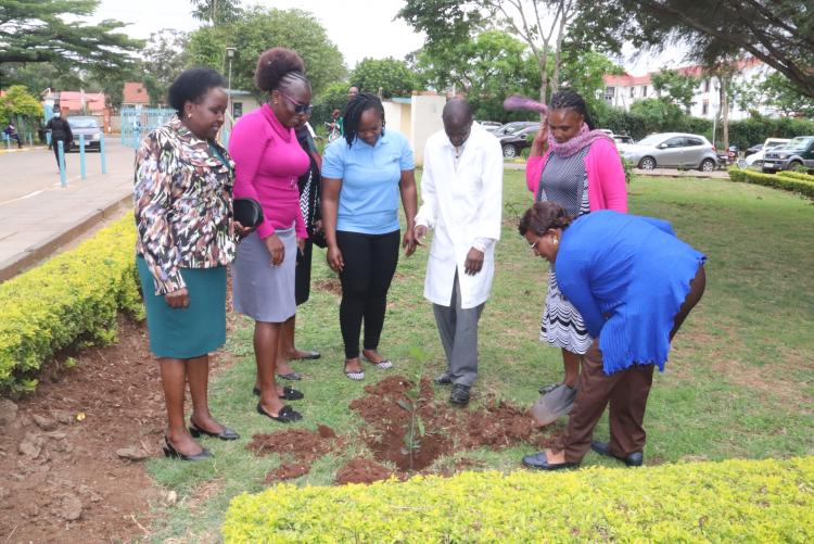 FACULTY OF HEALTH SCIENCES - TREE PLANTING EVENT