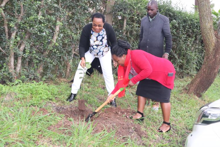 FACULTY OF HEALTH SCIENCES - TREE PLANTING EVENT