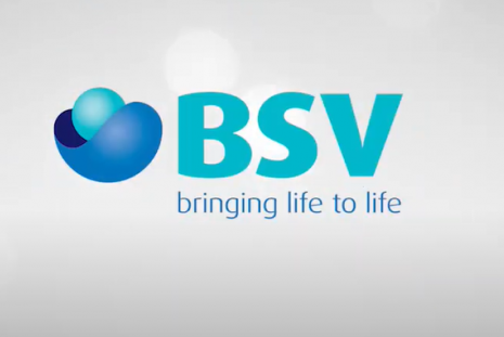BSV  Bringing life to life